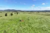 12744 Kennedy Highway, Ravenshoe, Qld 4888-Image
