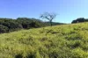12744 Kennedy Highway, Ravenshoe, Qld 4888-Image