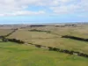 1300 Buffalo Waratah Road, Tarwin Lower, Vic 3956-Image