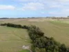 1300 Buffalo Waratah Road, Tarwin Lower, Vic 3956-Image