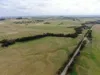 1300 Buffalo Waratah Road, Tarwin Lower, Vic 3956-Image