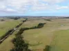 1300 Buffalo Waratah Road, Tarwin Lower, Vic 3956-Image