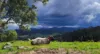 132 Clarkes Road, Greendale, NSW 2550-Image