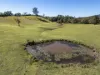 143  North Bank  Road, Yarranbella, NSW 2447-Image