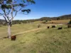 143  North Bank  Road, Yarranbella, NSW 2447-Image