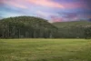 1451 Webbs Creek Road, Wisemans Ferry, NSW 2775-Image