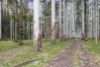 1451 Webbs Creek Road, Wisemans Ferry, NSW 2775-Image