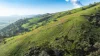 1465 Gundowring Road, Gundowring, Vic 3691-Image