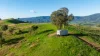 1465 Gundowring Road, Gundowring, Vic 3691-Image