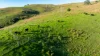 1465 Gundowring Road, Gundowring, Vic 3691-Image