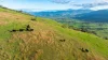 1465 Gundowring Road, Gundowring, Vic 3691-Image