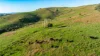 1465 Gundowring Road, Gundowring, Vic 3691-Image