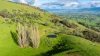 1465 Gundowring Road, Gundowring, Vic 3691-Image