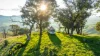 1465 Gundowring Road, Gundowring, Vic 3691-Image