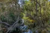 148, Cannon Creek Rd, Cannon Creek, Qld 4310-Image