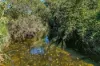 148, Cannon Creek Rd, Cannon Creek, Qld 4310-Image