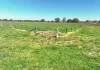 1491 Glenrowan Moyhu Road, Greta, Vic 3675-Image