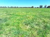 1491 Glenrowan Moyhu Road, Greta, Vic 3675-Image