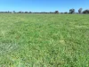 1491 Glenrowan Moyhu Road, Greta, Vic 3675-Image