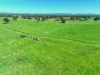 1491 Glenrowan Moyhu Road, Greta, Vic 3675-Image