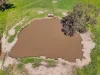 1491 Glenrowan Moyhu Road, Greta, Vic 3675-Image