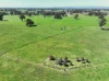 1491 Glenrowan Moyhu Road, Greta, Vic 3675-Image