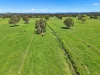 1491 Glenrowan Moyhu Road, Greta, Vic 3675-Image