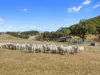1519, Hindmarsh Tiers SA 5202-Image