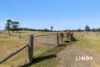 152 Thomas Lane, Singleton, NSW 2330-Image