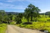 1596 Snowy Mountains Highway, Morans Crossing, NSW 2550-Image