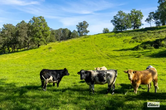 1596 Snowy Mountains Highway, Morans Crossing, NSW 2550-Image