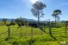 1596 Snowy Mountains Highway, Morans Crossing, NSW 2550-Image
