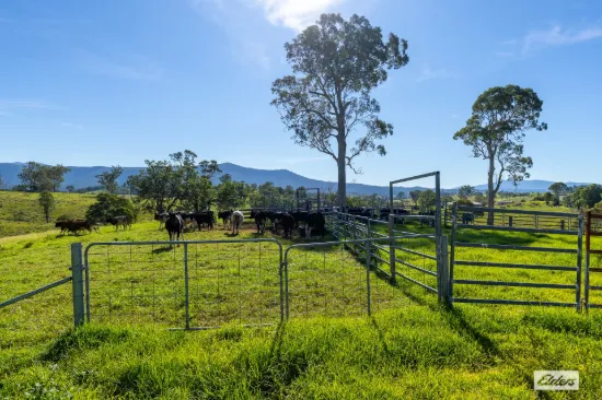 1596 Snowy Mountains Highway, Morans Crossing, NSW 2550-Image