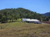 162 East Funnel Creek Road, Sarina Range, Qld 4737-Image