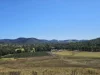 162 East Funnel Creek Road, Sarina Range, Qld 4737-Image