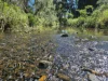 162 East Funnel Creek Road, Sarina Range, Qld 4737-Image