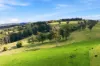 166 Bowdens Road, Won Wron, Vic 3971-Image