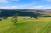 166 Bowdens Road, Won Wron, Vic 3971-Image