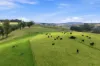 166 Bowdens Road, Won Wron, Vic 3971-Image