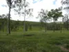 168 Mount Elmo Road, Colosseum, Qld 4677-Image