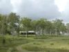 168 Mount Elmo Road, Colosseum, Qld 4677-Image