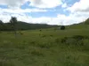 168 Mount Elmo Road, Colosseum, Qld 4677-Image