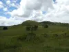 168 Mount Elmo Road, Colosseum, Qld 4677-Image