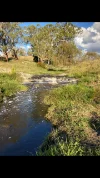 171 Brassington Creek Road, Tenterfield, NSW 2372-Image