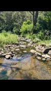171 Brassington Creek Road, Tenterfield, NSW 2372-Image