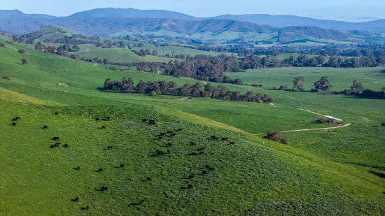 171 Nashs Road, Murrindindi, Vic 3717