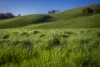 171 Nashs Road, Murrindindi, Vic 3717-Image