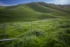171 Nashs Road, Murrindindi, Vic 3717-Image
