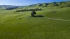 171 Nashs Road, Murrindindi, Vic 3717-Image