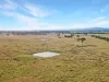 1750 Princes Highway, Hillside, Vic 3875-Image